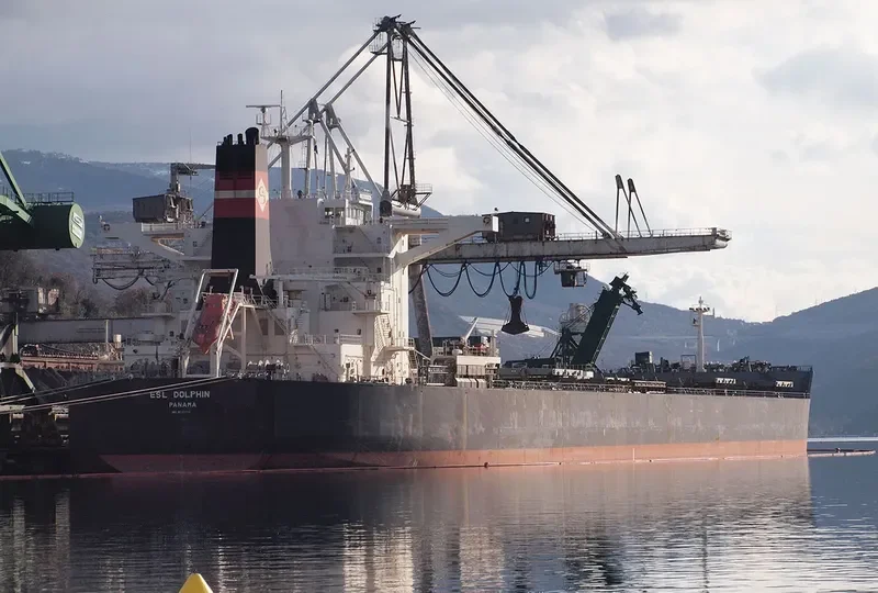 ESL DOLPHIN Bulk Carrier IMO 9520716 photo 4