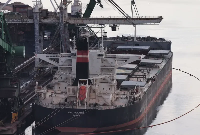 ESL DOLPHIN Bulk Carrier IMO 9520716 photo 6
