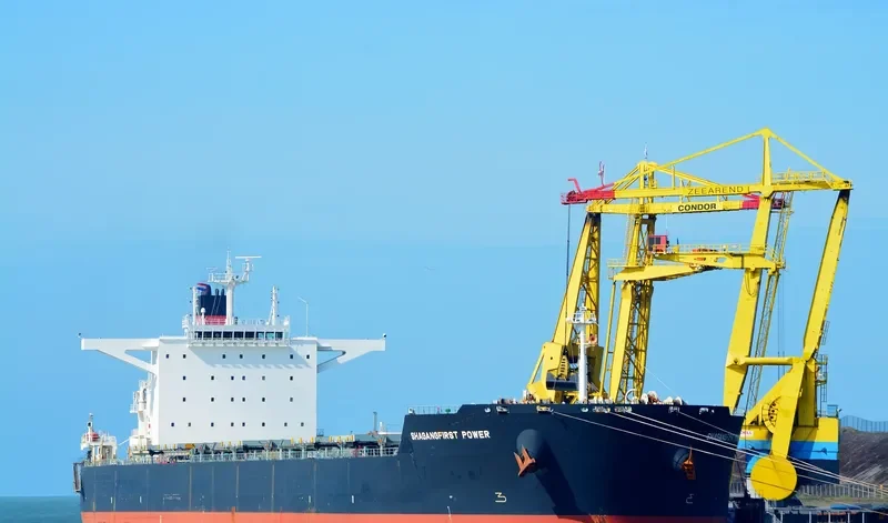 ESL DOLPHIN Bulk Carrier IMO 9520716 photo 9
