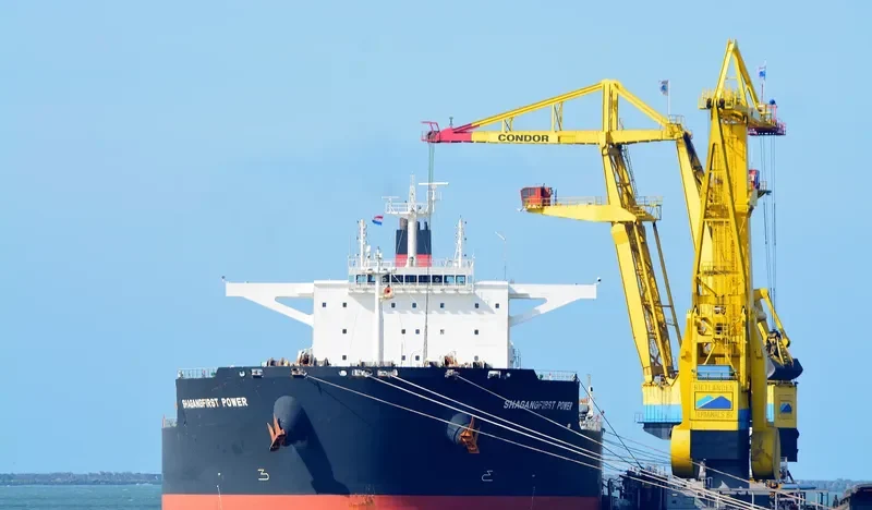 ESL DOLPHIN Bulk Carrier IMO 9520716 photo 10