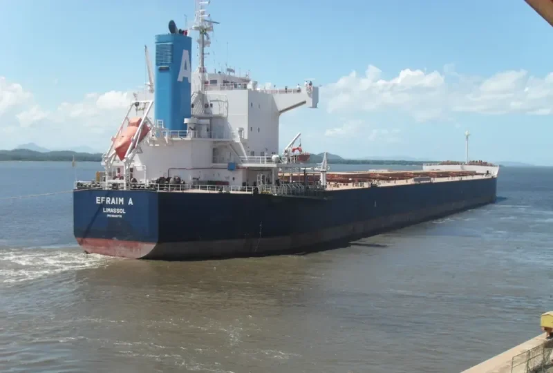 EFRAIM A Bulk Carrier IMO 9520778 photo 2