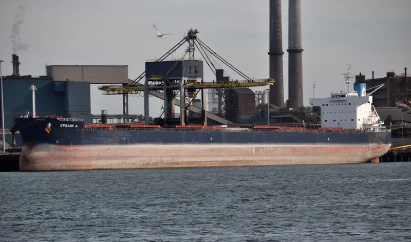 EFRAIM A Bulk Carrier IMO 9520778 photo 8