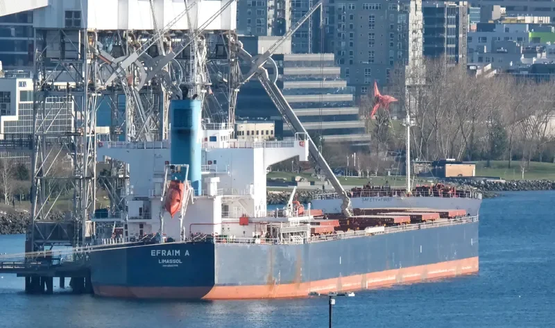 EFRAIM A Bulk Carrier IMO 9520778 photo 9