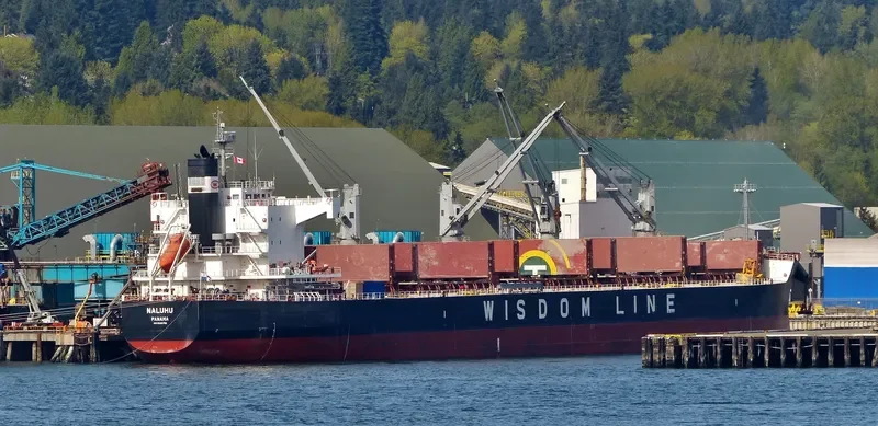 NALUHU Bulk Carrier IMO 9520792 photo 9