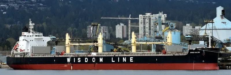 AMIS KALON Bulk Carrier IMO 9520807 photo 2