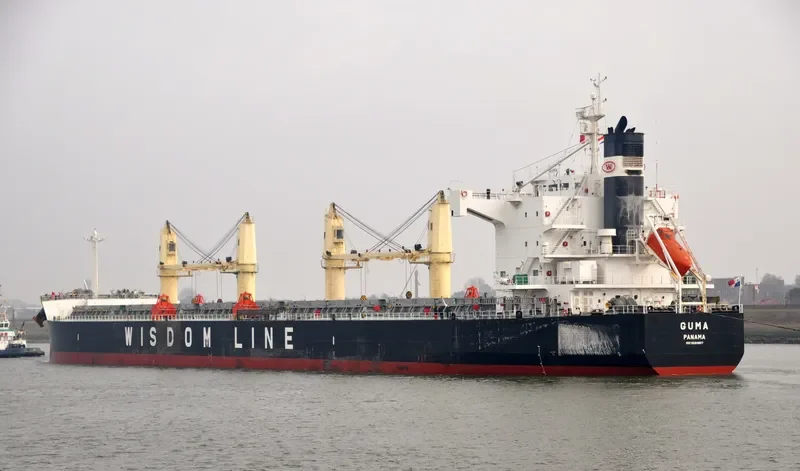 AMIS KALON Bulk Carrier IMO 9520807 photo 7