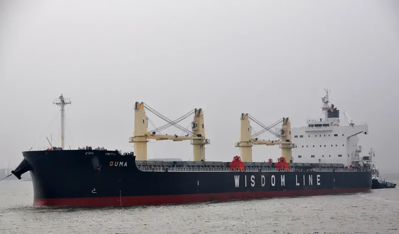 AMIS KALON Bulk Carrier IMO 9520807 photo 8