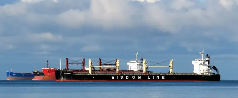AMIS LEADER Bulk Carrier IMO 9520819