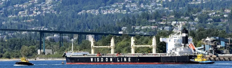 AMIS LEADER Bulk Carrier IMO 9520819 photo 2