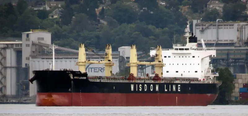 AMIS LEADER Bulk Carrier IMO 9520819 photo 3
