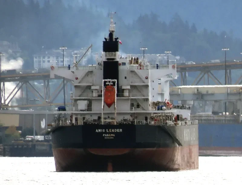 AMIS LEADER Bulk Carrier IMO 9520819 photo 4