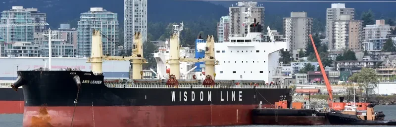AMIS LEADER Bulk Carrier IMO 9520819 photo 5