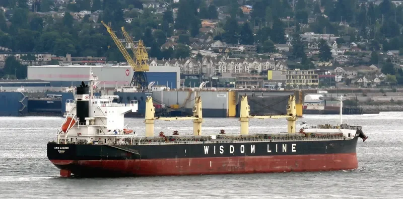 AMIS LEADER Bulk Carrier IMO 9520819 photo 7