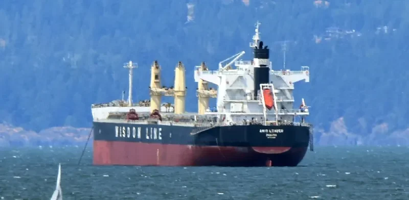 AMIS LEADER Bulk Carrier IMO 9520819 photo 10