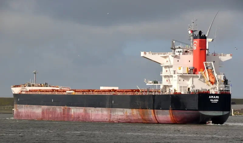 AMAMI Bulk Carrier IMO 9520821 photo 3