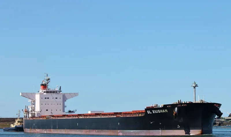 AMAMI Bulk Carrier IMO 9520821 photo 7