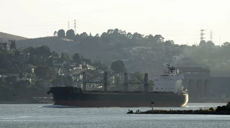 ANGLO MARIMAR Bulk Carrier IMO 9520833 photo 7