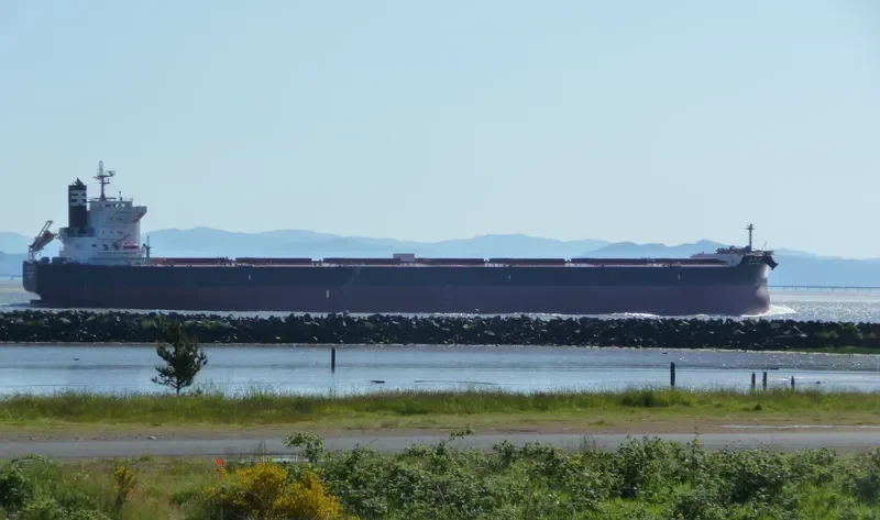 ANGLO MARIMAR Bulk Carrier IMO 9520833 photo 8