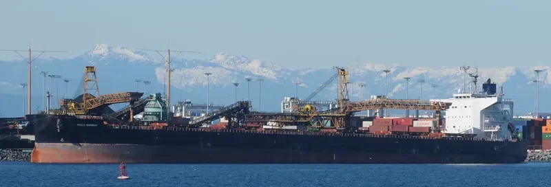 ANGLO MARIMAR Bulk Carrier IMO 9520833 photo 9