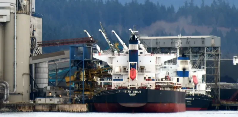 STAR SIRIUS Bulk Carrier IMO 9520883 photo 2