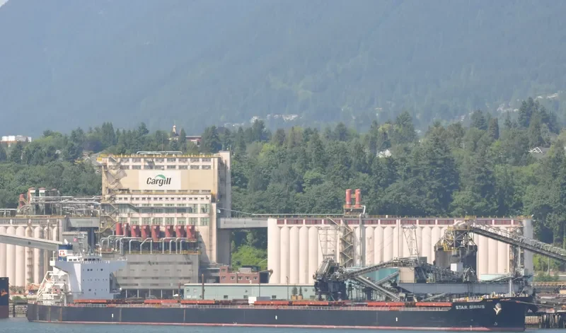 STAR SIRIUS Bulk Carrier IMO 9520883 photo 7