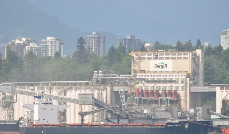 STAR SIRIUS Bulk Carrier IMO 9520883 photo 8