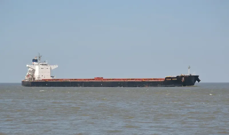 STAR VEGA Bulk Carrier IMO 9520895 photo 3