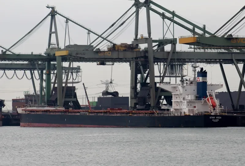 STAR VEGA Bulk Carrier IMO 9520895 photo 4