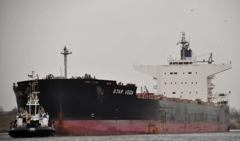 STAR VEGA Bulk Carrier IMO 9520895 photo 6