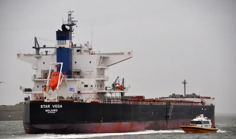 STAR VEGA Bulk Carrier IMO 9520895 photo 7
