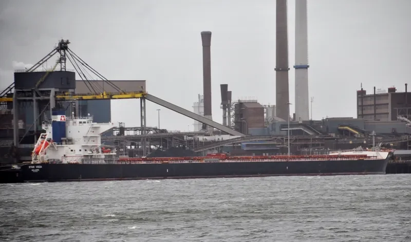 STAR VEGA Bulk Carrier IMO 9520895 photo 10