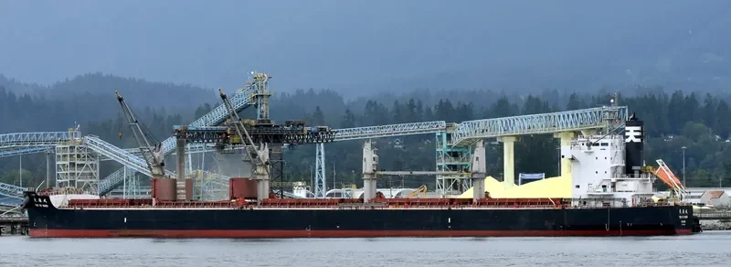 NAZIA JAHAN Bulk Carrier IMO 9520900 photo 2