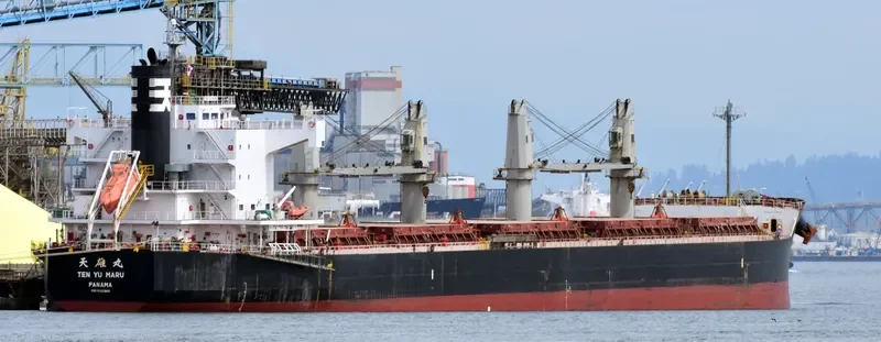 NAZIA JAHAN Bulk Carrier IMO 9520900 photo 3