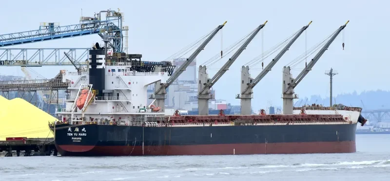 NAZIA JAHAN Bulk Carrier IMO 9520900 photo 4