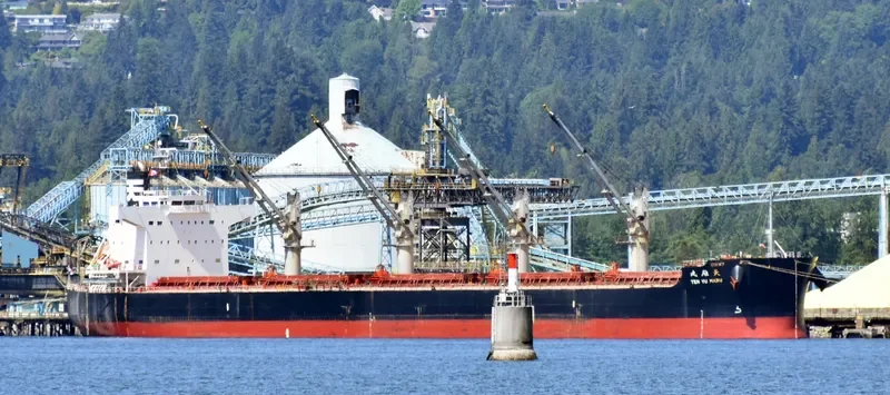 NAZIA JAHAN Bulk Carrier IMO 9520900 photo 6