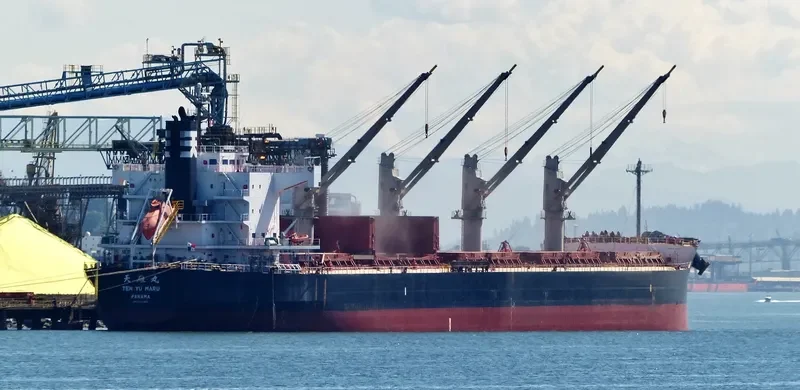 NAZIA JAHAN Bulk Carrier IMO 9520900 photo 7