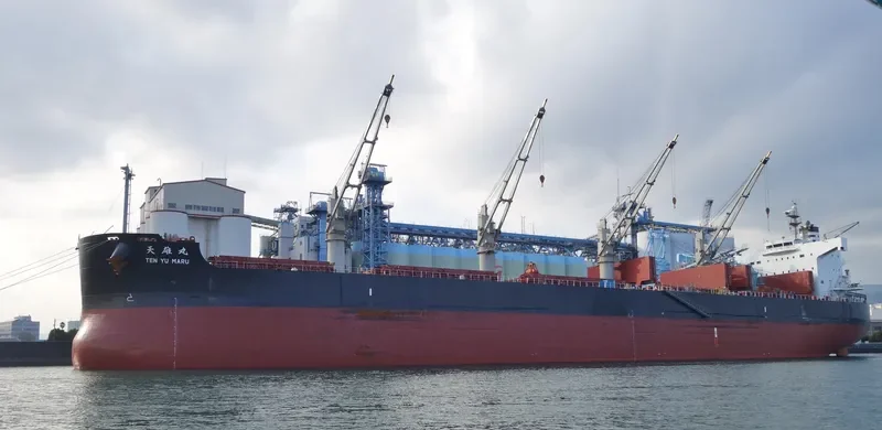 NAZIA JAHAN Bulk Carrier IMO 9520900 photo 9