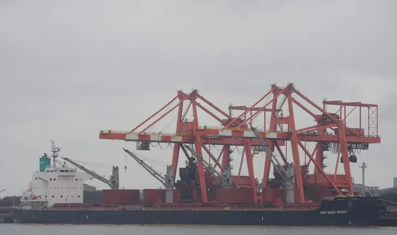 SHARK ISLAND Bulk Carrier IMO 9520924 photo 4