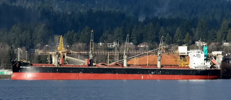 SHARK ISLAND Bulk Carrier IMO 9520924 photo 8