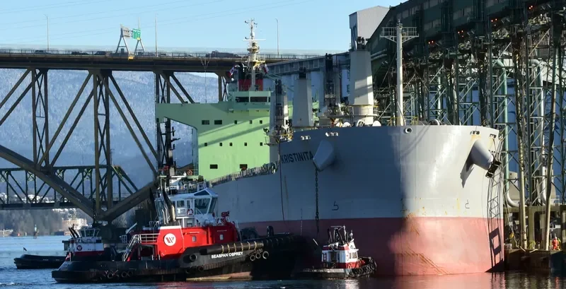KRISTINITA Bulk Carrier IMO 9520936 photo 5