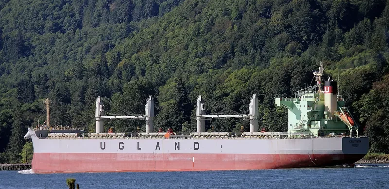 KRISTINITA Bulk Carrier IMO 9520936 photo 9