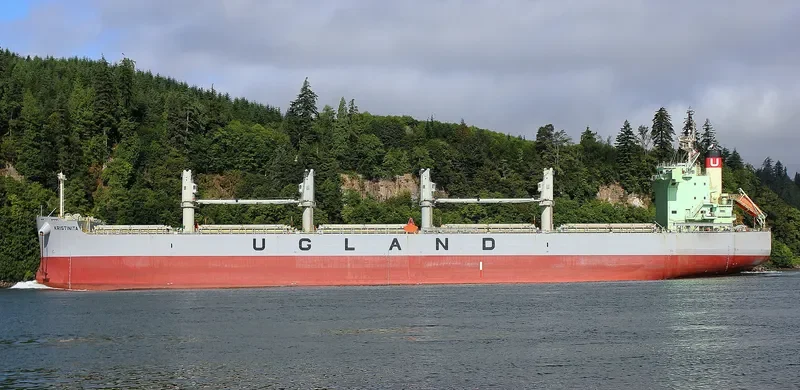 KRISTINITA Bulk Carrier IMO 9520936 photo 10
