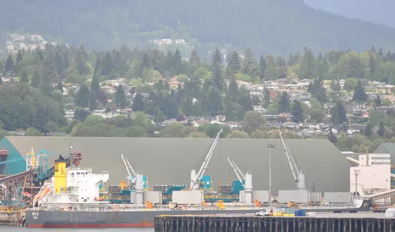 NEO Bulk Carrier IMO 9520948