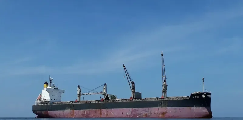 NEO Bulk Carrier IMO 9520948 photo 10