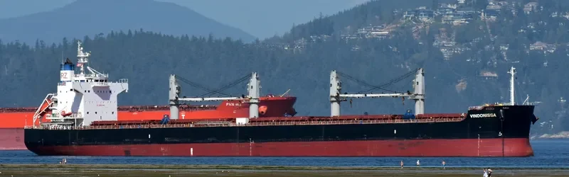 VINDONISSA Bulk Carrier IMO 9520950 photo 3