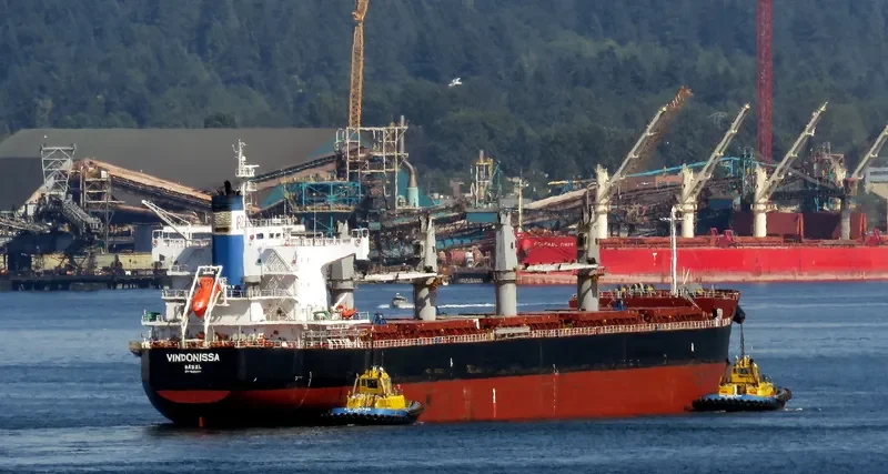 VINDONISSA Bulk Carrier IMO 9520950 photo 5