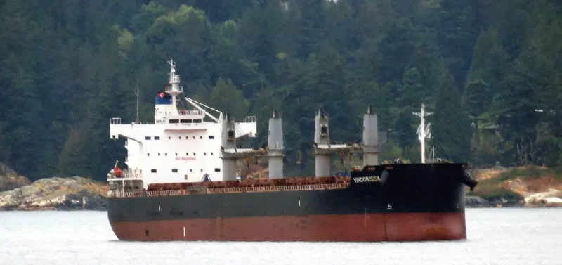 VINDONISSA Bulk Carrier IMO 9520950 photo 6