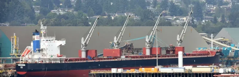 VINDONISSA Bulk Carrier IMO 9520950 photo 7
