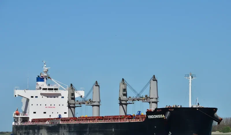 VINDONISSA Bulk Carrier IMO 9520950 photo 8