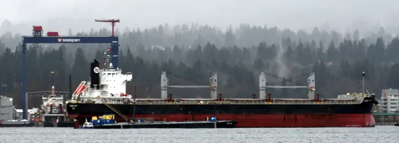 PENGUIN ISLAND Bulk Carrier IMO 9520962 photo 5